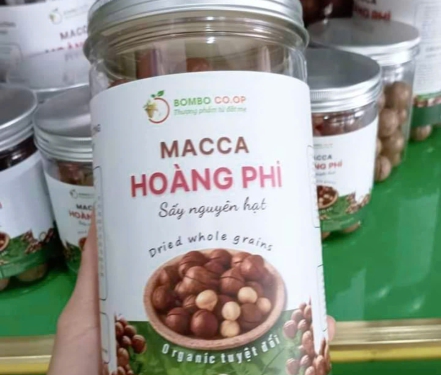 Hạt Macca Bình Phước Rang Nhạt – Nhân To, Béo Bùi, Không Tẩm Hóa Chất
