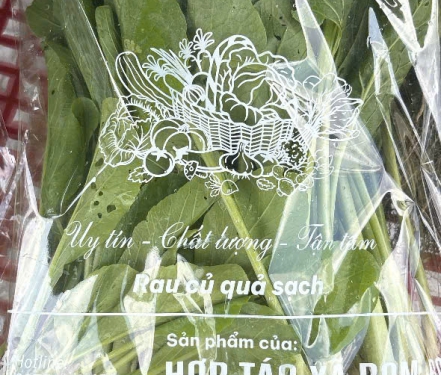 Rau Sạch An Toàn – Tươi Mỗi Ngày, Không Thuốc, Giá Tốt