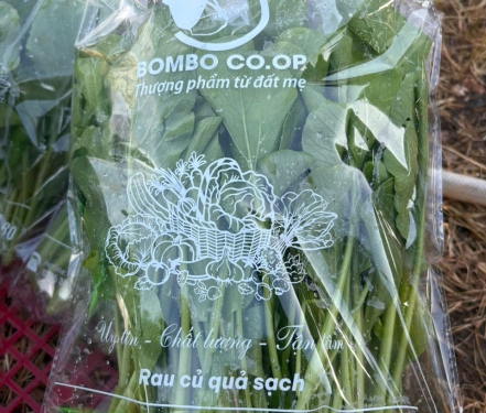 Rau Sạch An Toàn – Tươi Mỗi Ngày, Không Thuốc, Giá Tốt