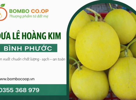 Dưa Lê Hoàng Kim Bình Phước: Lựa Chọn "Vàng" Cho Quà Tết Thịnh Vượng Từ BOMBO CO.OP