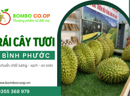 BomBo Co.op mang trái cây tươi Bình Phước đến gần người tiêu dùng