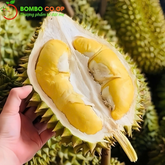 SẦU RIÊNG