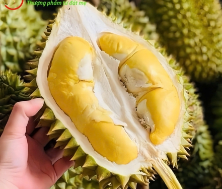 SẦU RIÊNG